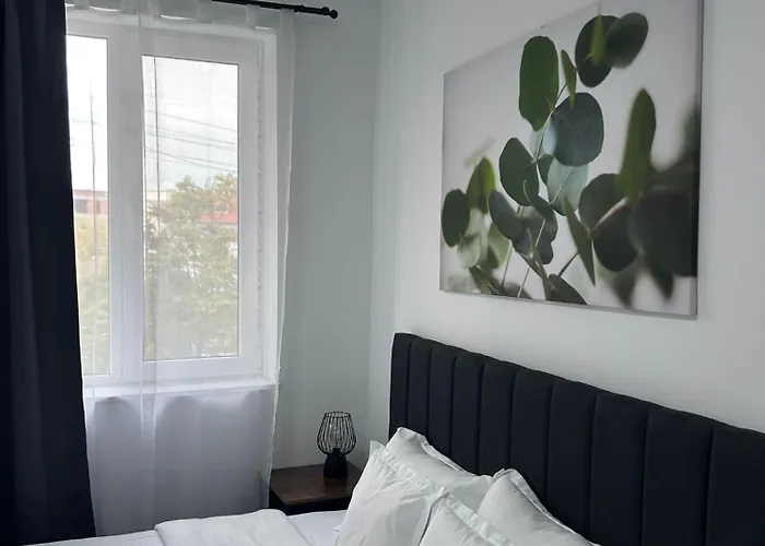 Ultracentral In The Heart Of Apartment Cluj-Napoca